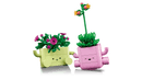 Botanicals